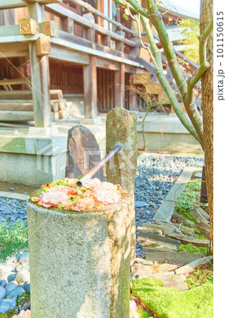 行田市花手水八幡神社 行田市花手水八幡神社 101150615