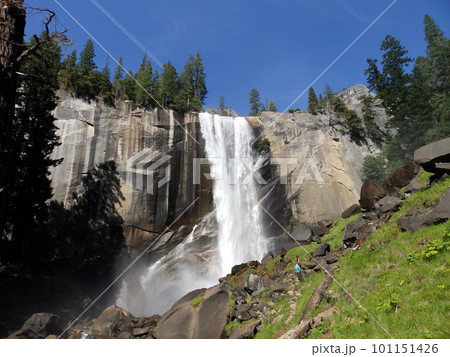 アメリカ_ヨセミテ国立公園62 101151426