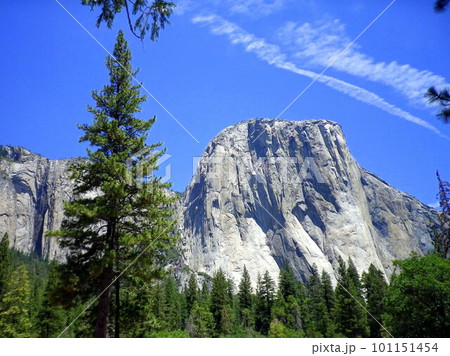 アメリカ_ヨセミテ国立公園85 アメリカ_ヨセミテ国立公園85 101151454