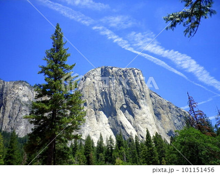 アメリカ_ヨセミテ国立公園87 アメリカ_ヨセミテ国立公園87 101151456