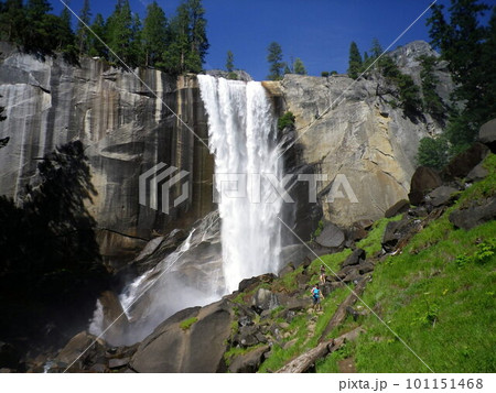 アメリカ_ヨセミテ国立公園99 アメリカ_ヨセミテ国立公園99 101151468