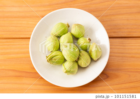 ふきのとう 101151581