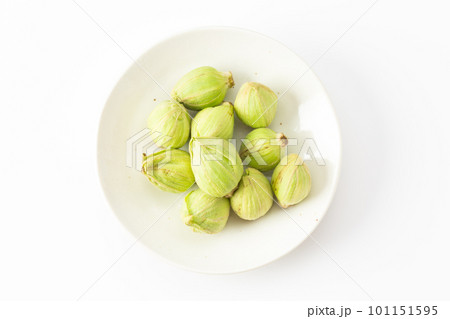 ふきのとう 101151595