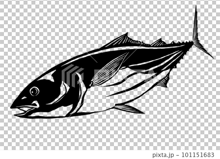 簡單的鰹魚的插圖 簡單的鰹魚的插圖 101151683