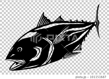健康鰹魚的簡單說明 健康鰹魚的簡單說明 101151687