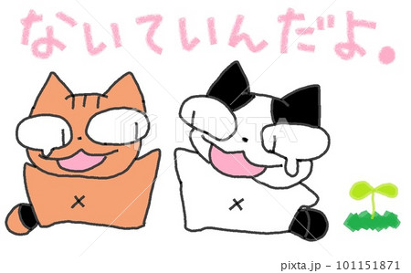 目が大きい猫のないていい 目が大きい猫のないていい 101151871