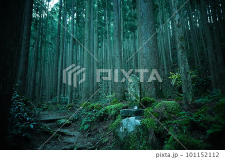 森林にたたずむお地蔵様の姿・祈りの道の熊野古道 101152112