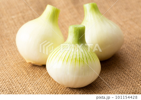 新玉ねぎ 101154428