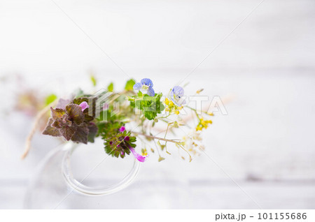 春の野草の花束 101155686