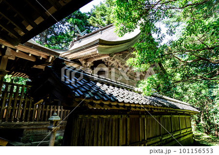 【伯耆国一宮】倭文神社　流造の本殿2　鳥取県東伯郡湯梨浜町 101156553