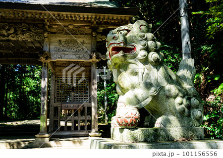 【伯耆国一宮】倭文神社　阿形の狛犬と随神門　鳥取県東伯郡湯梨浜町 101156556