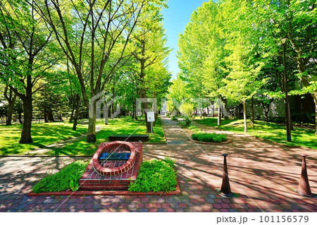 夏の永山記念公園　(北海道札幌市中央区) 101156579