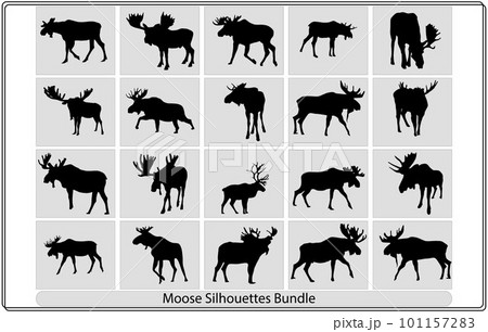 Set of three moose silhouettes,Moose, wild deer. Concept design of farm animals,Moose vector silhouette,moose animal silhouette style icon 101157283