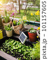 Solar battery in high garden bed on balcony 101157605