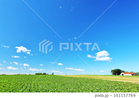 北海道 秋の青空と高原風景 北海道 秋の青空と高原風景 101157769
