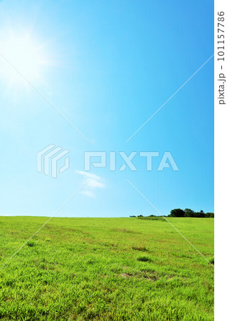 北海道　青空と暖かい日差しの大地 101157786