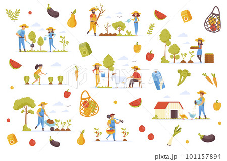 Organic production bundle of flat scenes. Farmers planting trees, gathering harvest isolated set. Fruits, vegetables, farm animals, orchard elements. Agricultural workers cartoon vector illustration. Organic production bundle of flat scenes. Farmers planting trees, gathering harvest isolated set. Fruits, vegetables, farm animals, orchard elements. Agricultural workers cartoon vector illustration. 101157894
