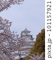 桜に彩られた姫路城（その三） 101157921