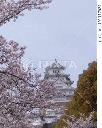 桜に彩られた姫路城(その三) 桜に彩られた姫路城(その三) 101157921