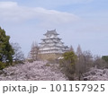 桜に彩られた姫路城（その一） 101157925