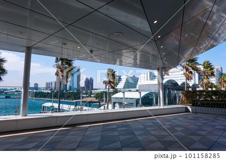 ペデストリアンデッキの椰子　東京ビッグサイト 101158285