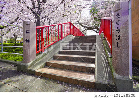 桜坂 桜坂 101158509