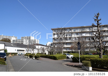 埼玉県 志木ニュータウンの街並み 101159326