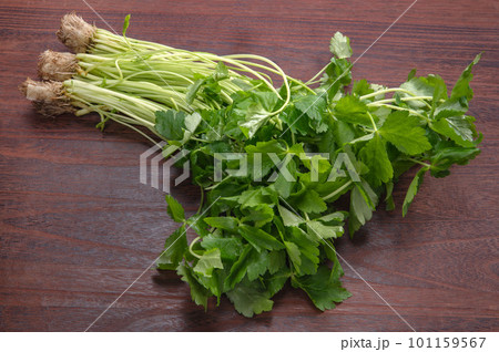 食用の緑黄色野菜、ミツバ 101159567