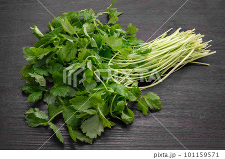 食用の緑黄色野菜、ミツバ 101159571