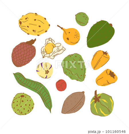 Set of Peruvian ripe fruits in a peel in a flat style.  101160546