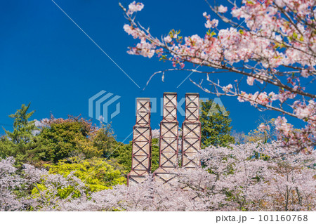（静岡県）桜満開の韮山反射炉 101160768