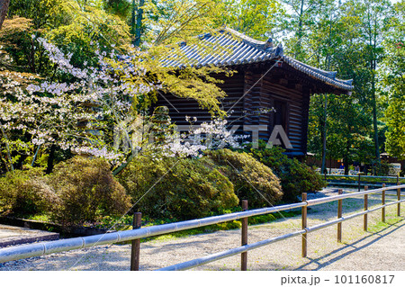 【奈良県】奈良市 唐招提寺 経蔵  (2023/03/28撮影) 101160817
