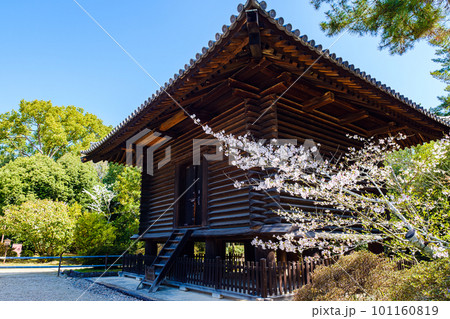 【奈良県】奈良市 唐招提寺 宝蔵  (2023/03/28撮影) 101160819