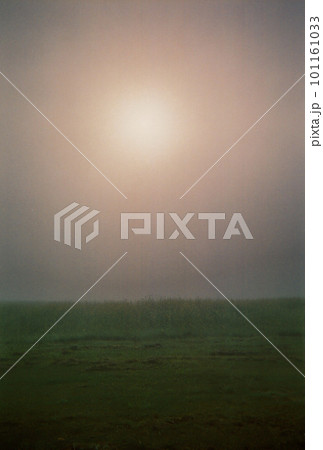 フィルムで撮影した美瑛町の朝霧の中で光る太陽とキガラシ フィルムで撮影した美瑛町の朝霧の中で光る太陽とキガラシ 101161033