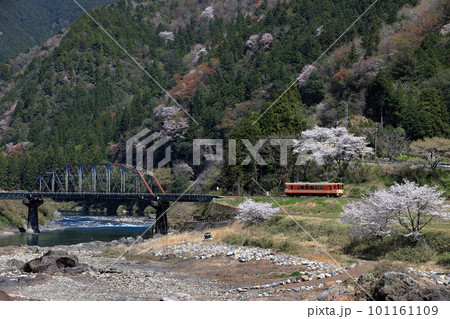 春の長良川鉄道 101161109