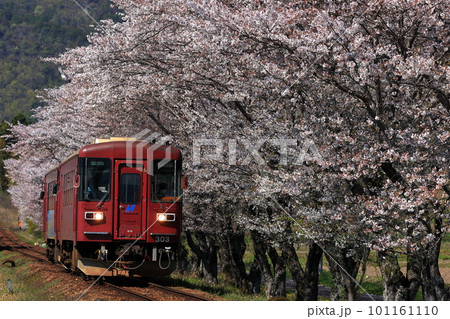 春の長良川鉄道 101161110