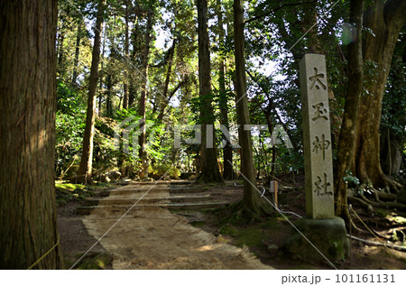 朝早く参拝した能登國一宮の氣多大社の摂社 太玉神社 朝早く参拝した能登國一宮の氣多大社の摂社 太玉神社 101161131