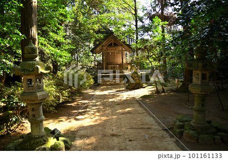 朝早く参拝した能登國一宮の氣多大社の摂社 太玉神社 朝早く参拝した能登國一宮の氣多大社の摂社 太玉神社 101161133