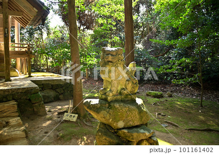 朝早く参拝した能登國一宮の氣多大社の摂社 太玉神社 朝早く参拝した能登國一宮の氣多大社の摂社 太玉神社 101161402