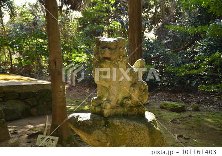 朝早く参拝した能登國一宮の氣多大社の摂社 太玉神社 朝早く参拝した能登國一宮の氣多大社の摂社 太玉神社 101161403