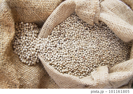 アマゾン産の白コショウ　ブラジル 101161805