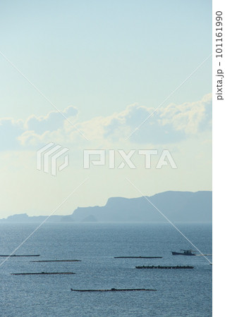 兵庫県たつの市御津町室津から見た牡蠣筏並ぶ播磨灘の朝の風景 101161990