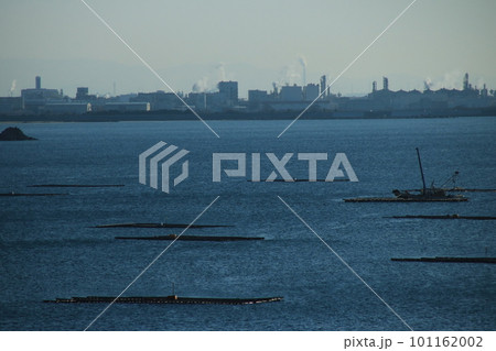 姫路の工場地帯と牡蠣筏並ぶ播磨灘の朝の風景 101162002