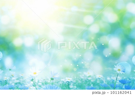 マーガレットの背景 101162041