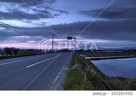 夕暮れのこばえちゃライン 101163302