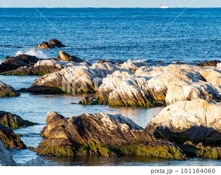 早朝の千葉県南房総の海岸から望む爽やかな太平洋 101164060