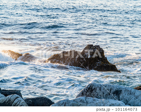 早朝の千葉県南房総の海岸から望む爽やかな太平洋 早朝の千葉県南房総の海岸から望む爽やかな太平洋 101164073
