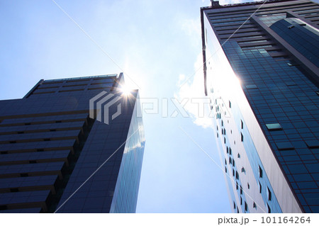サンパウロのビルと青空と太陽光　ブラジル 101164264