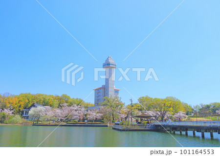 尾張旭市、スカイワードあさひと桜の風景 尾張旭市、スカイワードあさひと桜の風景 101164553