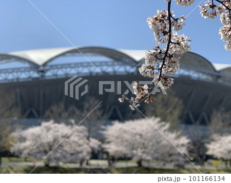 桜のある風景 桜のある風景 101166134